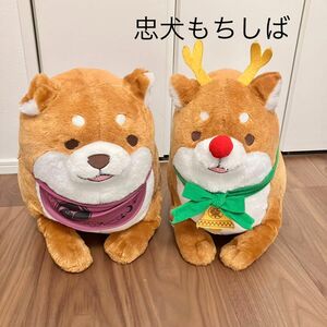 忠犬もちしば　BIGぬいぐるみ　2体セット！　おかか