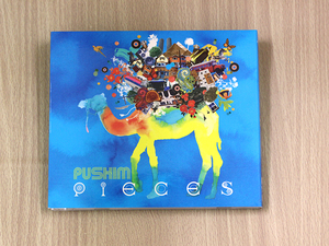 プシンCD「PIECES」PUSHIM レゲエ●