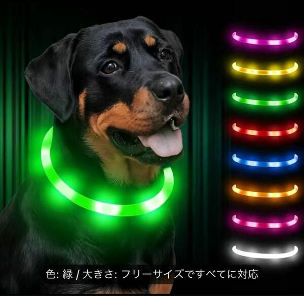 1本【安全性】USB充電式犬用首輪　3モードライト付き　LEDペット首輪 - 大型中小型犬&猫用　防水&調節可能　夜間散歩紛失防止