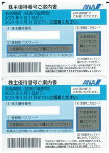 【2枚】ANA(全日空)株主優待券 (有効期限:2024/5/31搭乗分まで )