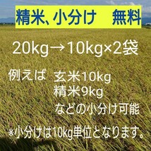 新米！新潟コシヒカリ玄米20kg_画像2