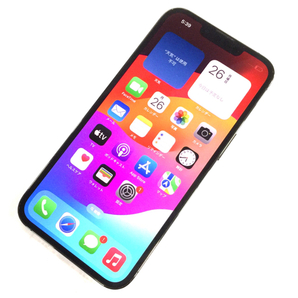 1円 SIMフリー Apple iPhone13 Pro 256GB A2636 MLUN3J/A グラファイト スマホ 本体 SIMロック解除済の画像1