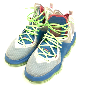 ナイキ サイズ 31cm レブロン 19 LEBRON 19 DC9339-400 スニーカー メンズ シューズ ダッチブルー NIKE