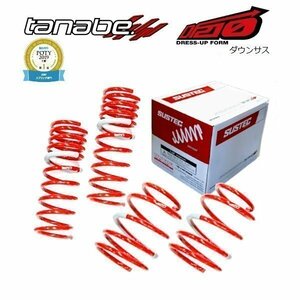 新品 tanabe タナベ ダウンサス (DF210) (前後) ヴェルファイア ANH20W (2.4X/2.4Z/2.4V 2011年11月～) (ANH20WDK)