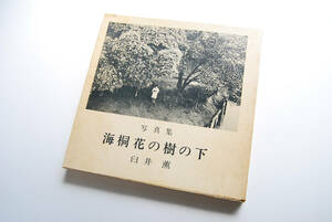 臼井薫「海桐花の木の下」落款入り / 土門拳、森山大道、深瀬昌久、荒木経惟、須田一政、Saul Leiter、奈良原一高、Provoke