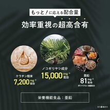 896【新品未使用/賞味期限2025.09】BG ノコギリヤシ サプリ 15,000mg 亜鉛 ケラチン 必須アミノ酸 60粒 30日分 国内製造 栄養機能食品_画像3