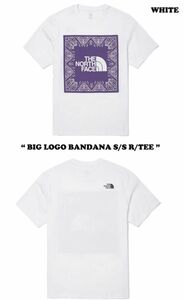 ノースフェイス Tシャツ L バンダナ ペイズリー ボックスロゴ ショートスリーブ ラウンド Tシャツ 韓国限定 