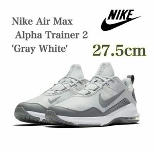 Nike Air Max Alpha Trainer 2 'Gray White' ナイキ エア マックス アルファ トレーナー 2 (AT1237-003)グレー27.5cm箱あり