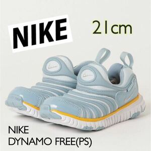 NIKE DYNAMO FREE(PS) ナイキ ダイナモ フリー PS 子供用運動靴(343738-438)グレー21cm箱無し