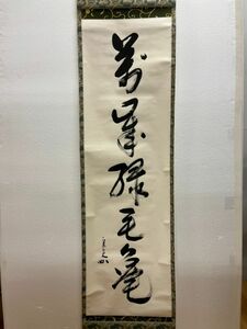 Gr957「茶道家D様から委託品」【模写】表千家堀内兼中斎宗心筆　一行書　掛軸　「萬歳緑毛亀」　共箱　茶掛　一行者　茶道具