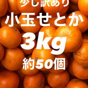 愛媛県産 みかん 高級柑橘 小玉 せとか 箱別3kg 発送 柑橘 ミカン 果物