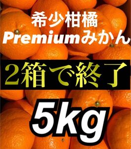 愛媛県産 Premiereみかん 箱込5kg 柑橘 果物 ミカン 