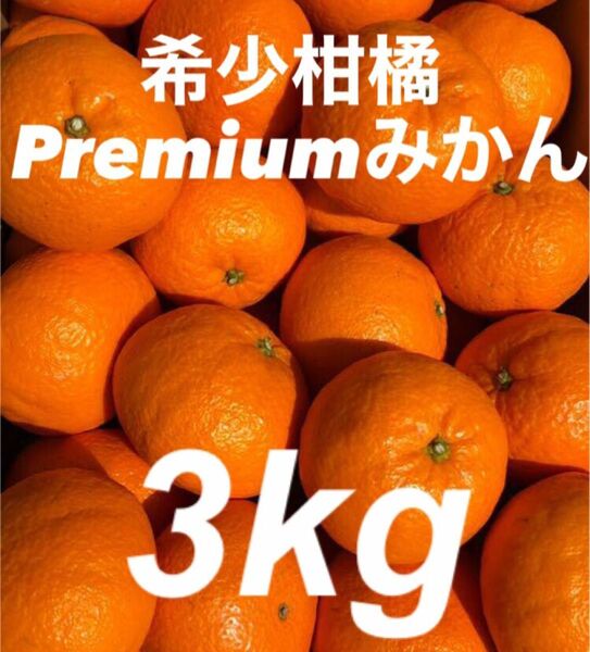 愛媛県産 Premiereみかん 箱別3kg 柑橘 果物 ミカン 