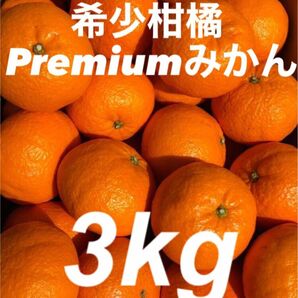 愛媛県産 Premiereみかん 箱別3kg 柑橘 果物 ミカン 