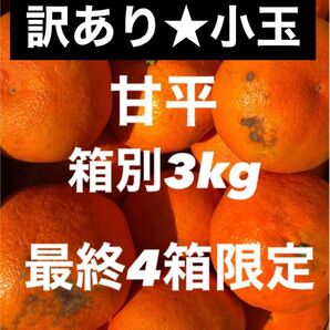 愛媛県産 ミカン 訳あり 小玉 甘平 箱別3kg 柑橘 果物みかん