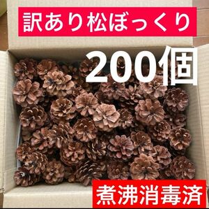 訳あり☆松ぼっくり☆200個〜