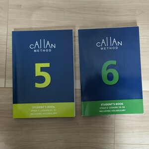 カランメソッド CALLAN METHOD 5と6