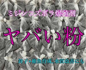 生クロレラ等不要【華めだか大阪】ミジンコズボラ爆殖剤 ヤバい粉★タマミジンコタイリクミジンコオオミジンコの繁殖めだか育成に♪10発