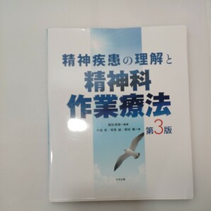 zaa-556♪精神疾患の理解と精神科作業療法 第3版 堀田 英樹 (著, 編集) 中央法規出版 第3版2刷(2021/11/20)