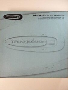 25260 【ジャンク品に近い】INCOGNITO/I CAN THE FUTURE