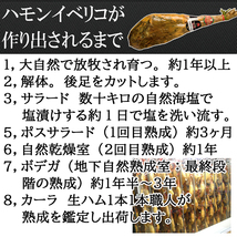 ハモン イベリコ ベジョータ スライス 100ｇ イベリコ豚 生ハム ハム 最高級 母の日 父の日 プレゼント お肉 ギフト 高級生ハム_画像6