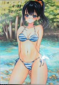 Art hand Auction Doujin Illustration dessinée à la main SSSS.GRIDMAN Gridman Rikka Takarada maillot de bain bikini taille A4, des bandes dessinées, produits d'anime, illustration dessinée à la main