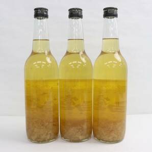 【3本セット】富士白 レモンチューハイの素 25度 600ml N24C150050の画像4