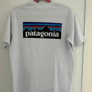 patagonia パタゴニア TシャツメンズSサイズ　バックプリント ホワイト 半袖