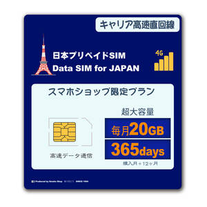大容量高速【 毎月20GB （初月無料+12ヶ月）（合計 260GB）】日本国内 データ通信 SIMカード JAPAN prepaid DATA SIM★送料無料