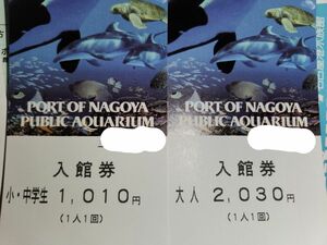 名古屋港水族館 入館券 大人2枚 小・中学生2枚 チケット