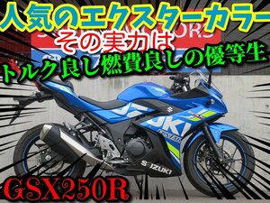 『オプション７万円分プレゼントキャンペーン』４月末まで開催 日本全国デポデポ間送料無料！スズキ GSX250R 60964 DN11A エクスターカラー