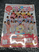 即決 ハロプロのことはハロプロにきけ モーニング娘。 Berryz工房 ℃-ute 真野恵里菜 スマイレージ 道重さゆみ 嗣永桃子 鈴木愛理 前田憂佳_画像1