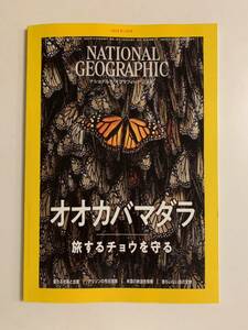 ナショナルジオグラフィック 2024年1月　2024年1月号　　オオカバマダラ　チョウ　national geographic ナショナルジオグラフィック日本版