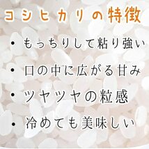 【白米】新米 産地直送！令和5年産 埼玉県産 コシヒカリ 白米 0.9kg 未検査米 おいしいお米　玄米 1kg を精米しお届け キャンプ 贈答品_画像2