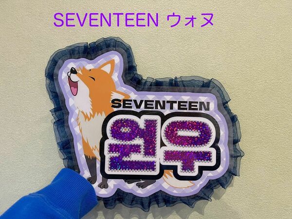 SEVENTEEN ウォヌ　ネームボード