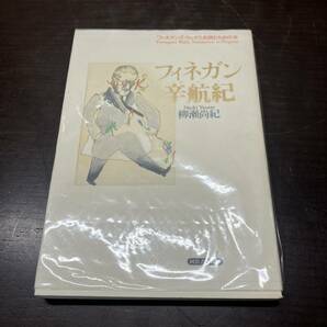 フィネガン辛航紀 柳瀬尚紀 河出書房新社 フィネガンズ・ウェイクを読むための本 1992年 初版 【A1】の画像1