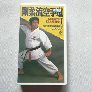 剛柔流空手道 1 全日本空手道剛柔会 JKGA 山口剛史 東京守礼堂 VHS ビデオ 基本 練習法 小手鍛え 普及型 太極 ゲキサイ サイファ [s147]