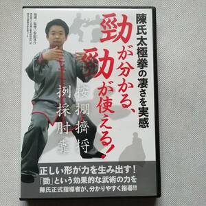 陳氏太極拳の凄さを実感 勁が分かる、勁が使える! 安田洋介 DVD BABジャパン 陳正雷 日本徳洋太極研修院 歩形 試勁 整勁 四正勁 架式[s163]