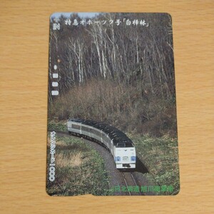 【1穴】使用済みオレンジカード JR北海道　特急オホーツク号　白樺林　9811