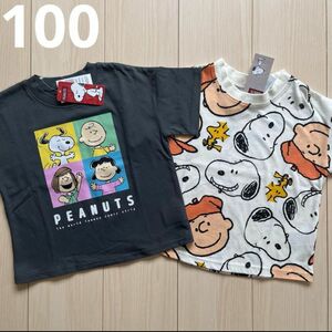 【スヌーピー】チャコールグレー☆総柄 半袖 Tシャツ キャラクター チャーリーブラウン 2点セット 100