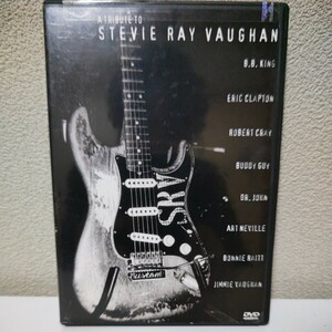 A Tribute to STEVIE RAY VAUGHAN 輸入盤DVD バディ・ガイ エリック・クラプトン ボニー・レイット ロバート・クレイetc