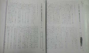 サピックス＊６年 難関校ＳＳ サンデー サピックス 特訓・志望校別講座＊国語／慶應 普通部 対策プリント＊全１４回 完全版