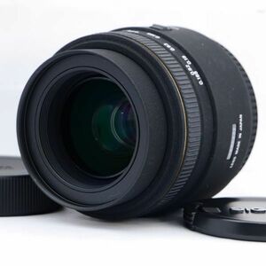 ☆良品・完動☆SIGMA 50mm F2.8 EX DG MACRO D ニコン用 Fマウント マクロレンズ☆保証付☆E298