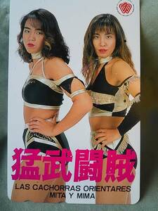 使用済み　テレカ　女子プロレス　猛武闘賊　下田美馬　三田英津子　＜110-011＞50度数