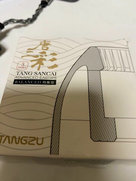 TANGZU TANG SANCAI Mサイズ　2セット イヤーピース 　テクニクスEAH-AZ80付属のイヤーピース　未使用