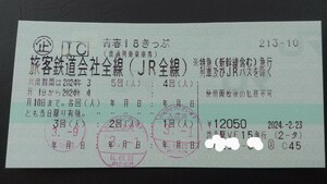 青春18きっぷ 18切符 18キップ 2回分 ネコポス送料出品者負担 JR 普通 快速列車 乗車券 返却不要 3/10発送可能