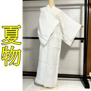 ■着物の越田■裄67身丈138 男物 着物 紬 棒衿 訳あり品 夏物 夏着物 麻 上布 白地 蚊絣■⑤24S03