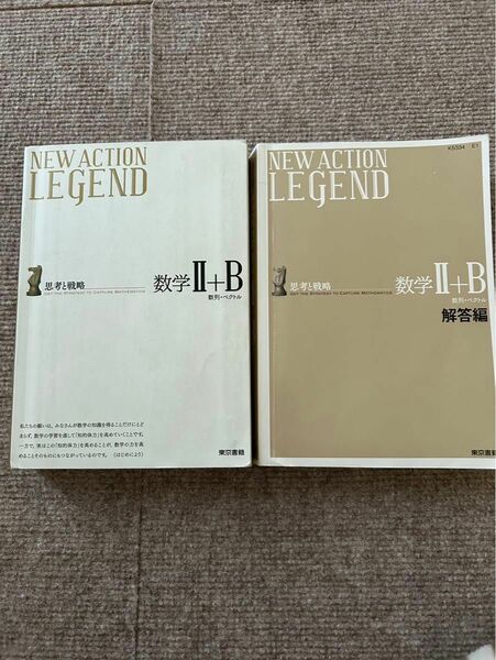 NEW ACTION LEGEND数学2+B 思考と戦略 数列ベクトル