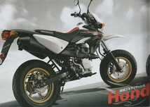 　中古品　カタログ　　XR100 MOTADO モタード_画像2