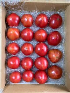  finest quality, height sugar times tomato ( sugar times 11 and more!) Kochi prefecture production top class fruit tomato (1kg entering ). production person by direct delivery! free shipping 